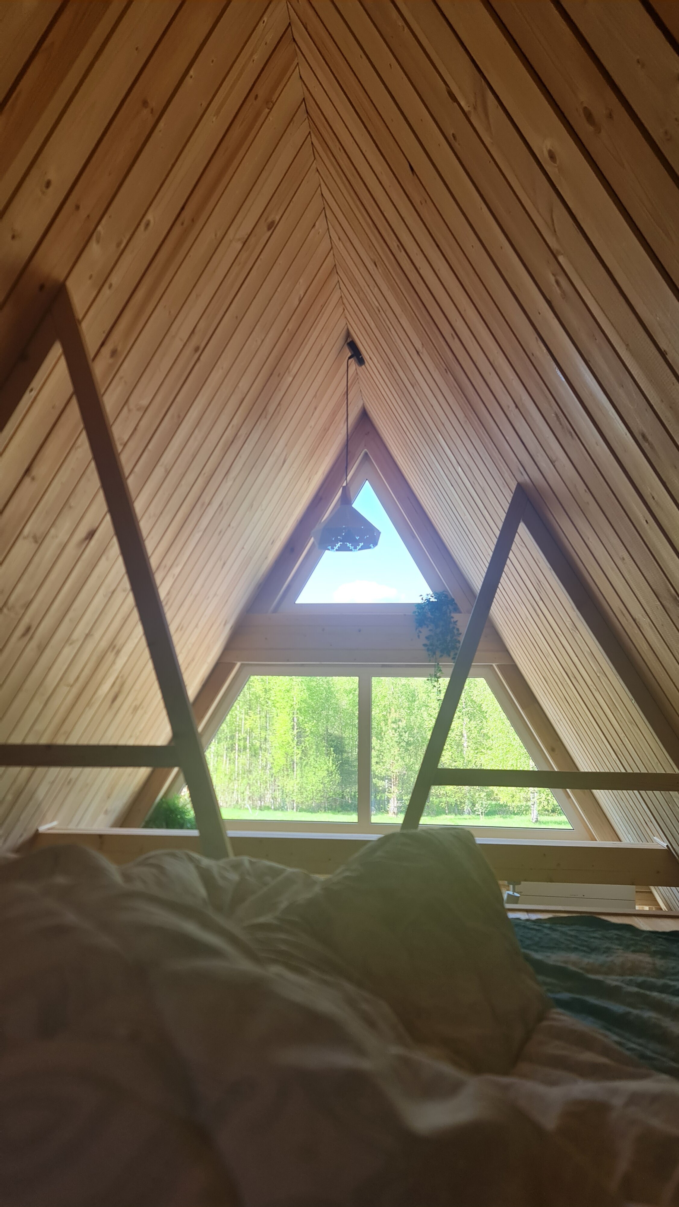 Фото Совенок