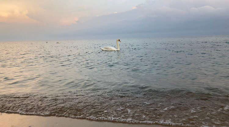 Фото ПетрОтель