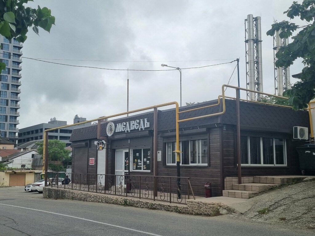 На "барнаульском Арбате" установили скульптуру медведя - МК Барнаул