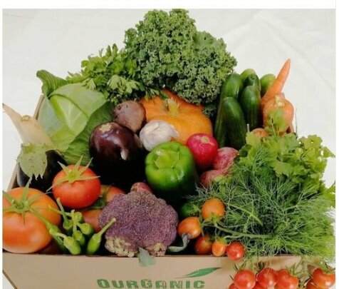 Foodstuffs wholesale Ourganic Bio Market, Umm al‑Quwain, photo