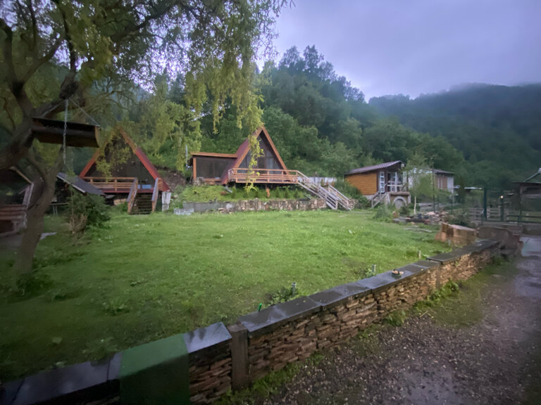 Фото Альпака