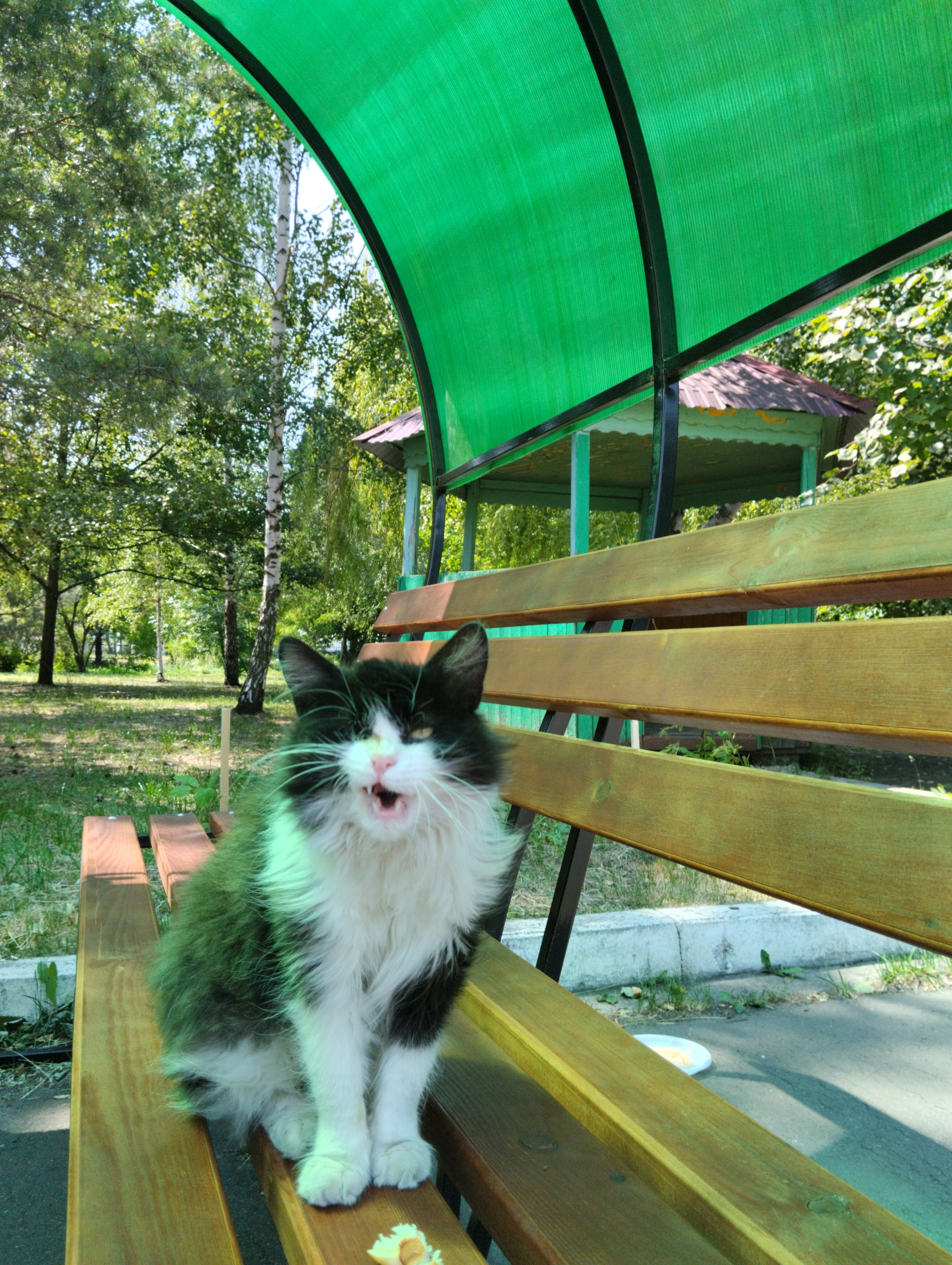 Фото Санаторий имени М.И. Калинина