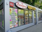 Валерия (mikrorayon Zaozyorny, ulitsa Barkhatovoy, 10/1), flower shop