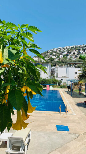 Гостиница Ayci Otel в Бодруме