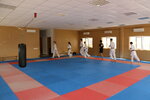 Keisokan dojo (Gogol Street, 111), sports club
