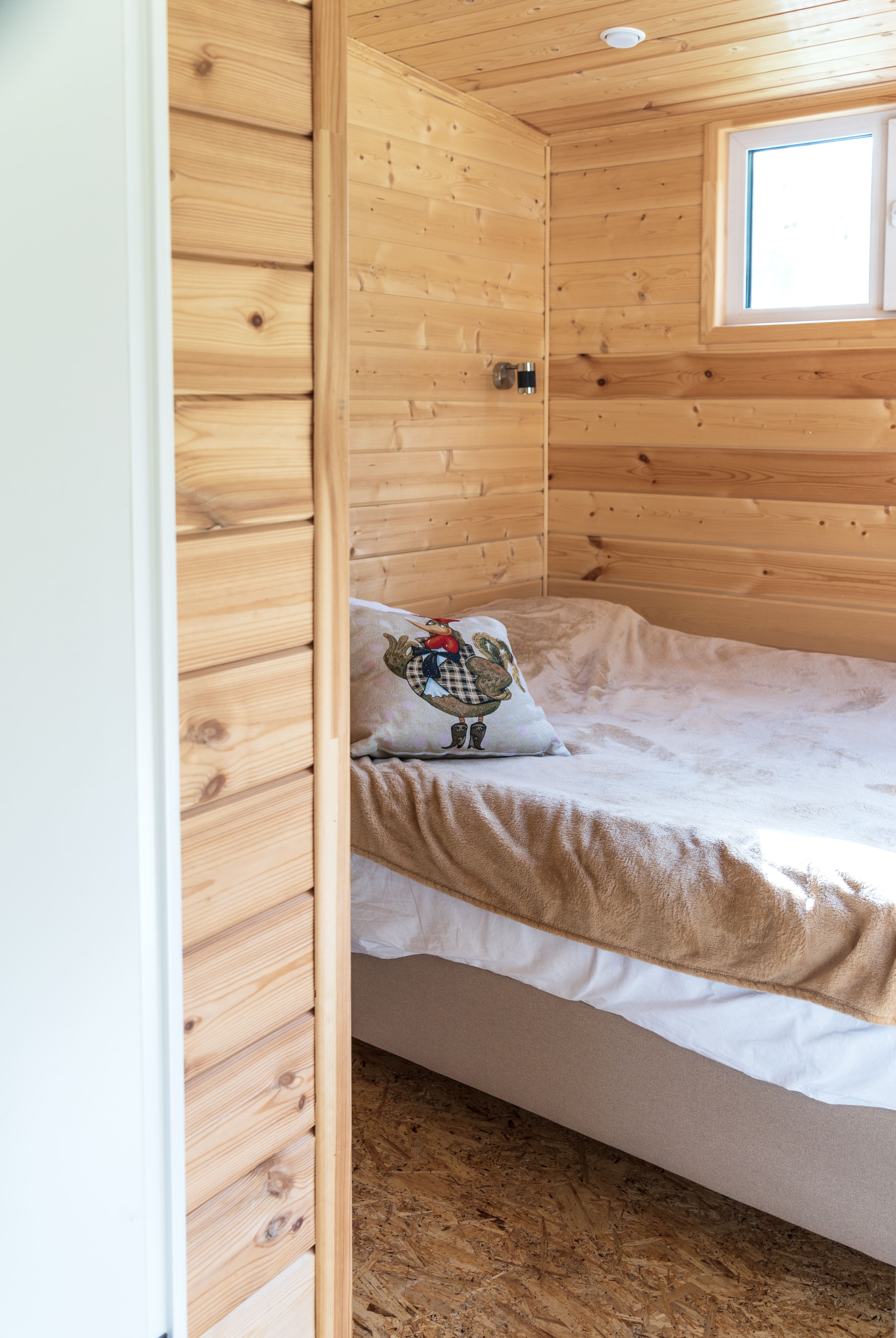 Фото Рузские Лужки