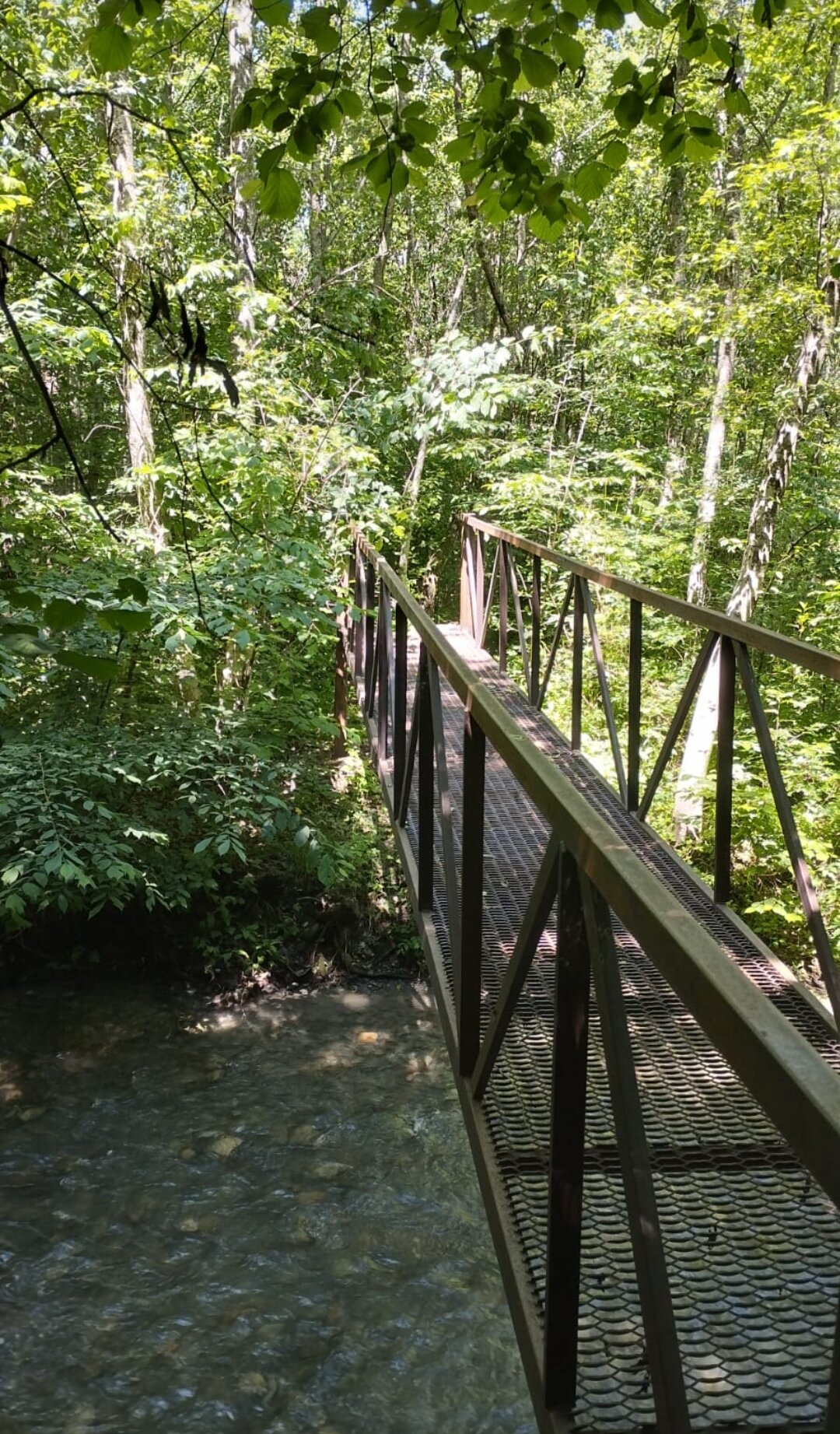 Фото Медвежий угол