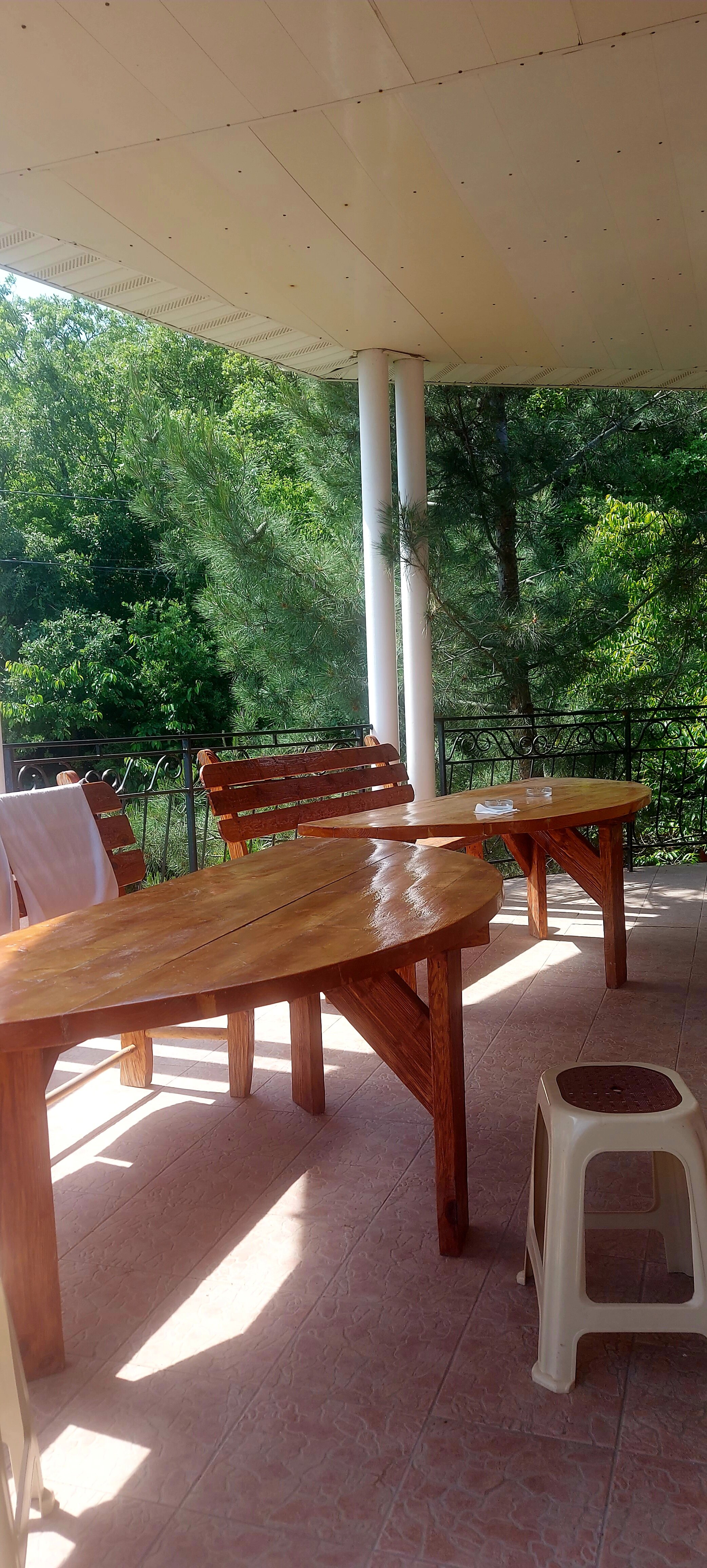 Фото Кипарис