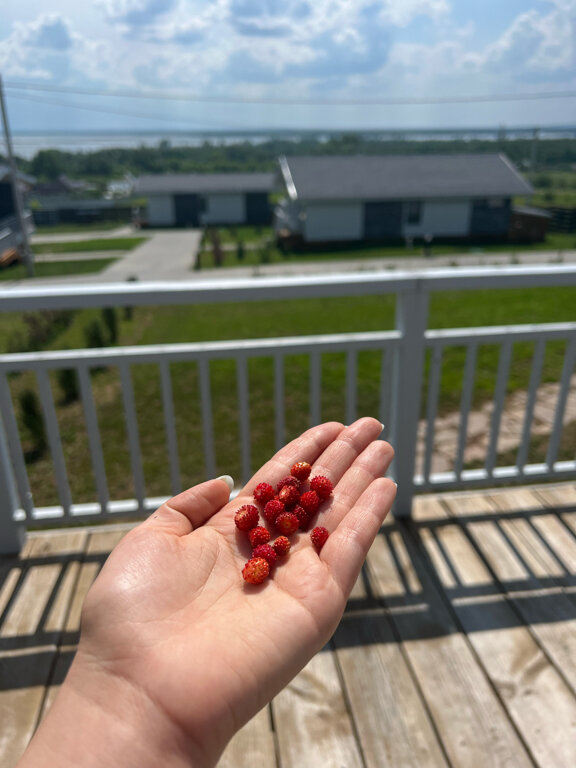 Фото Белая Ривер Клаб