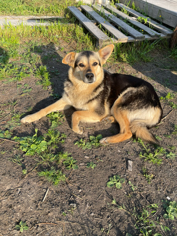 Фото Финский Хутор