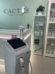 Cactus beauty studio (Lenina Street, 95А), hair removal