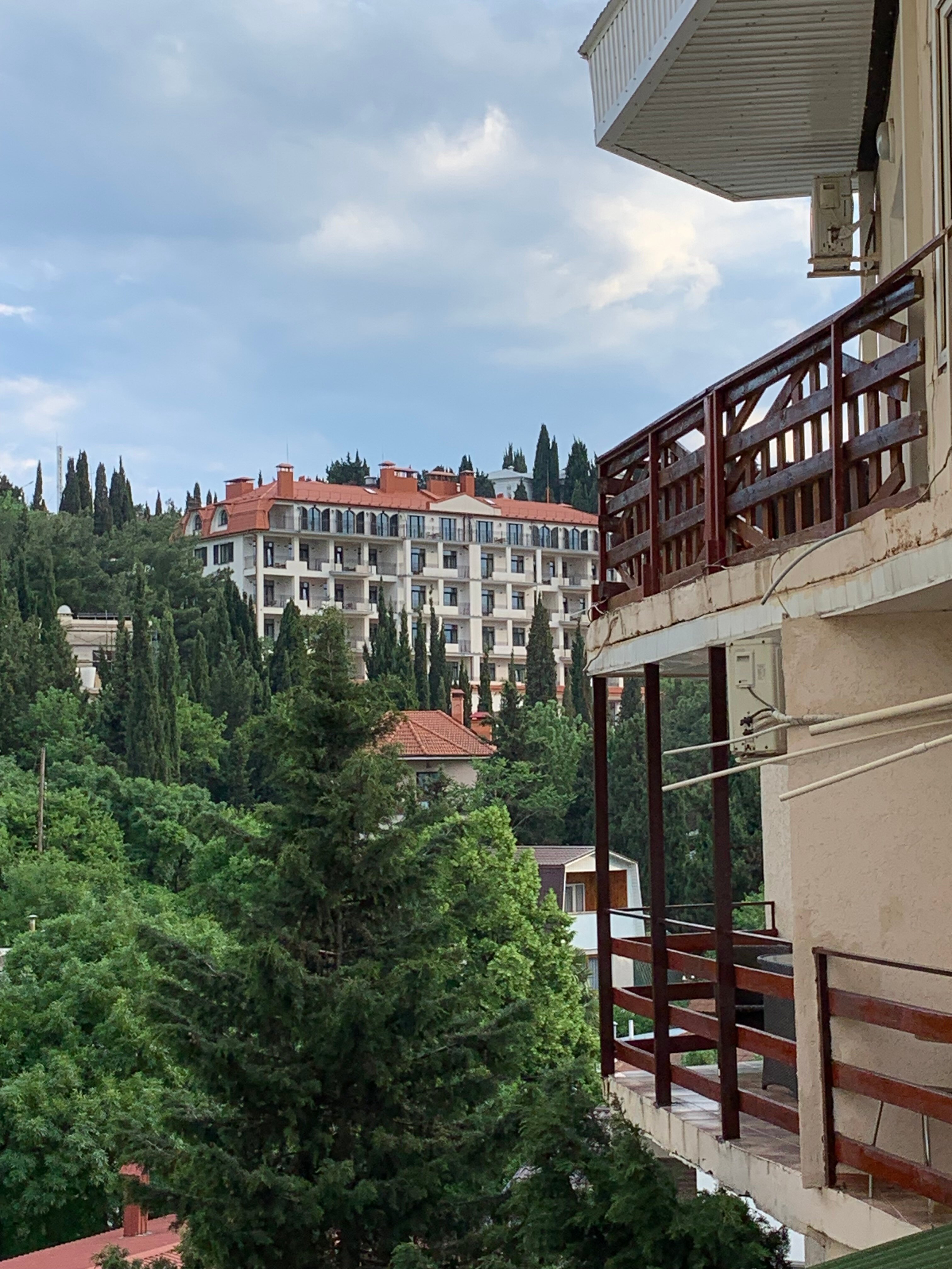 Фото Цитрус