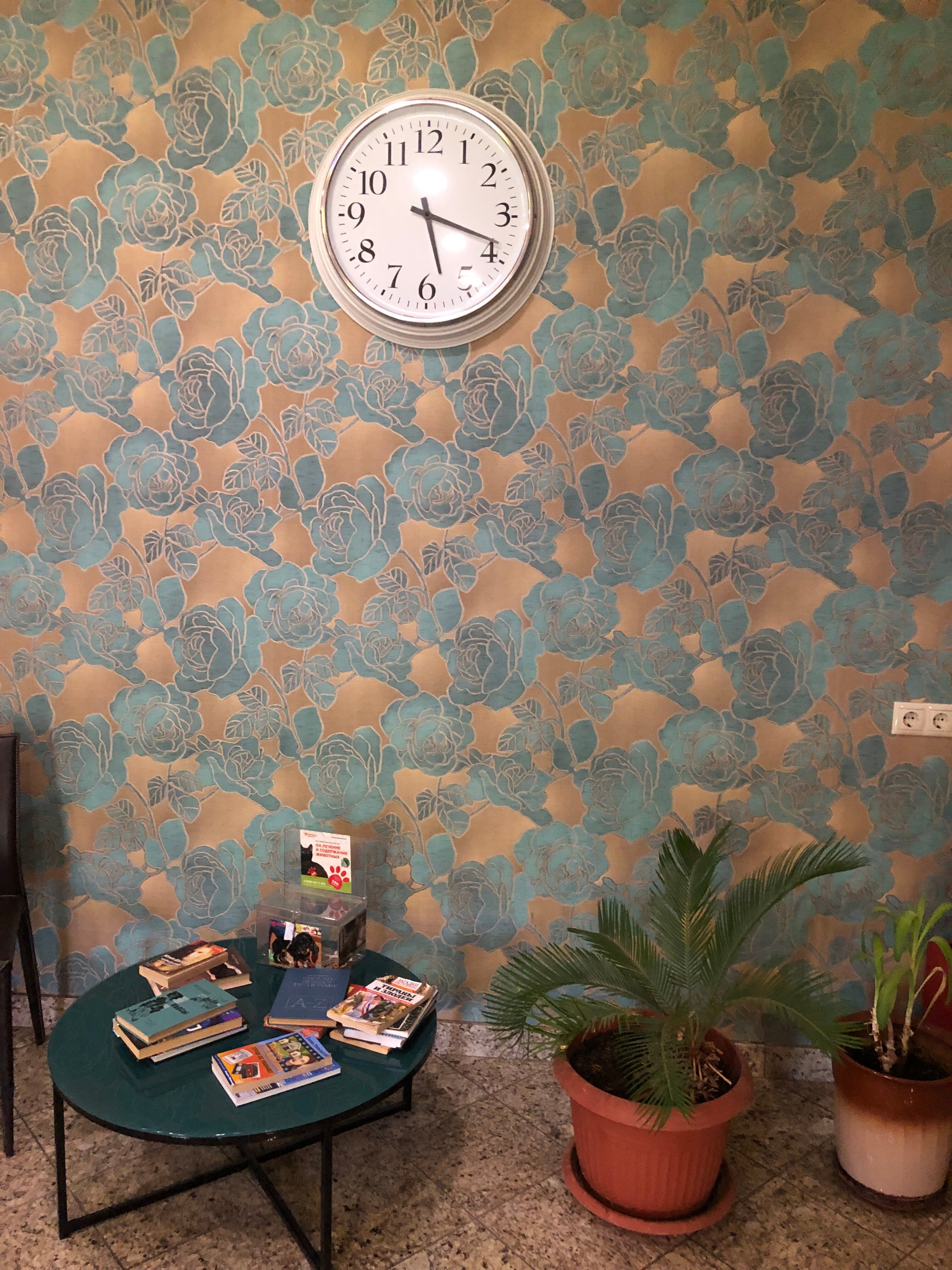 Фото Вилла Диана