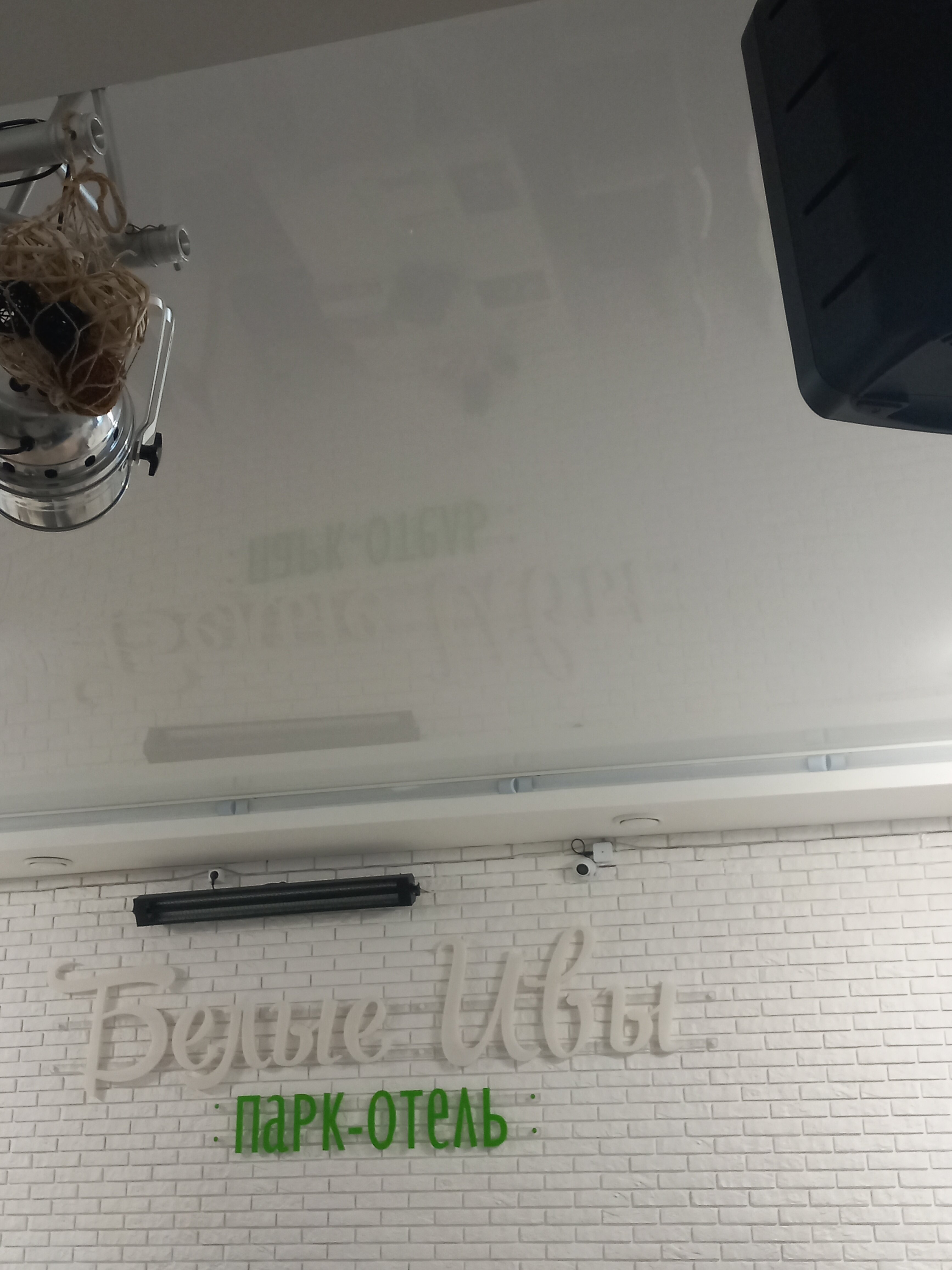 Фото Белые ивы