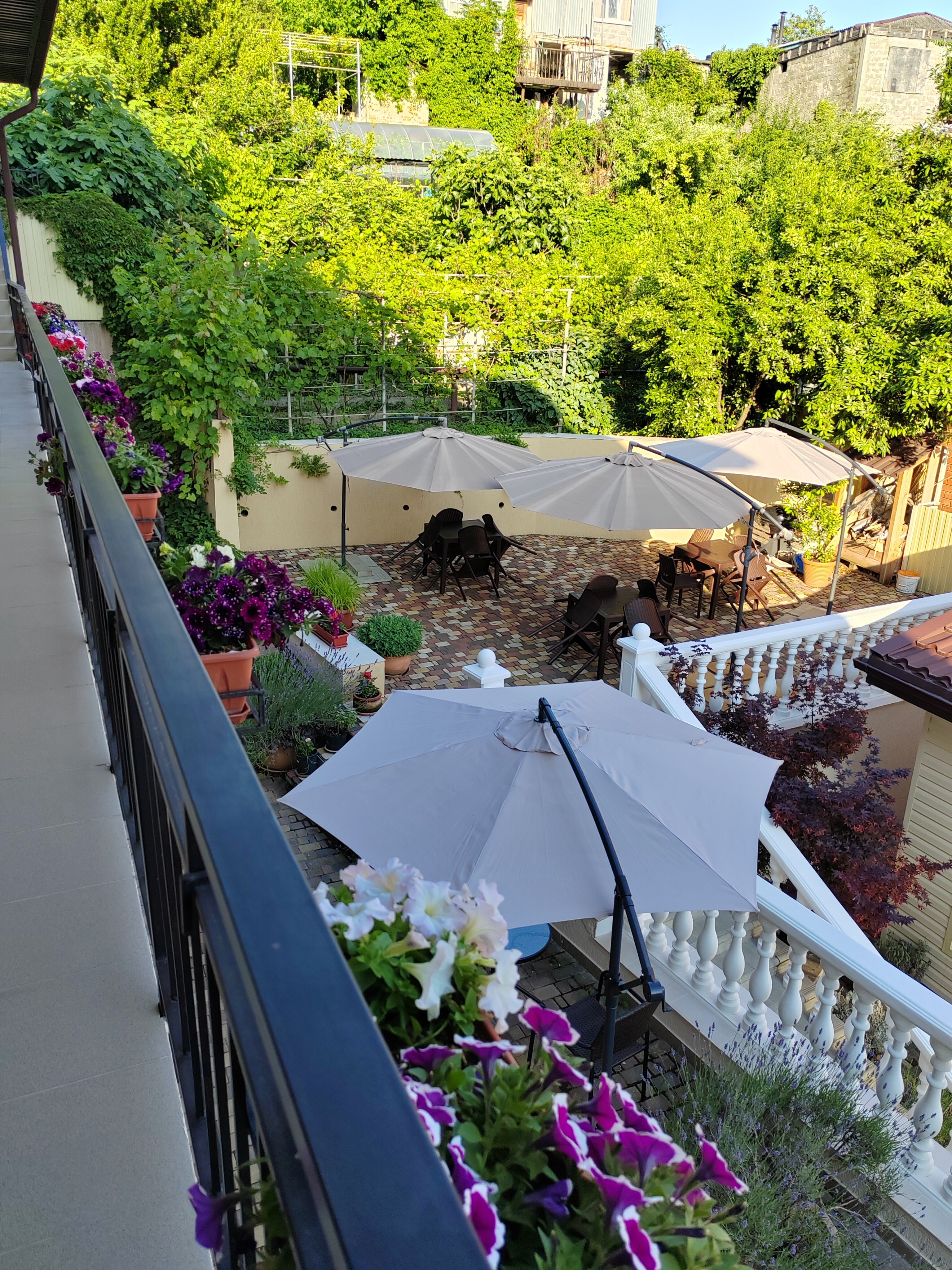 Фото Французский дом