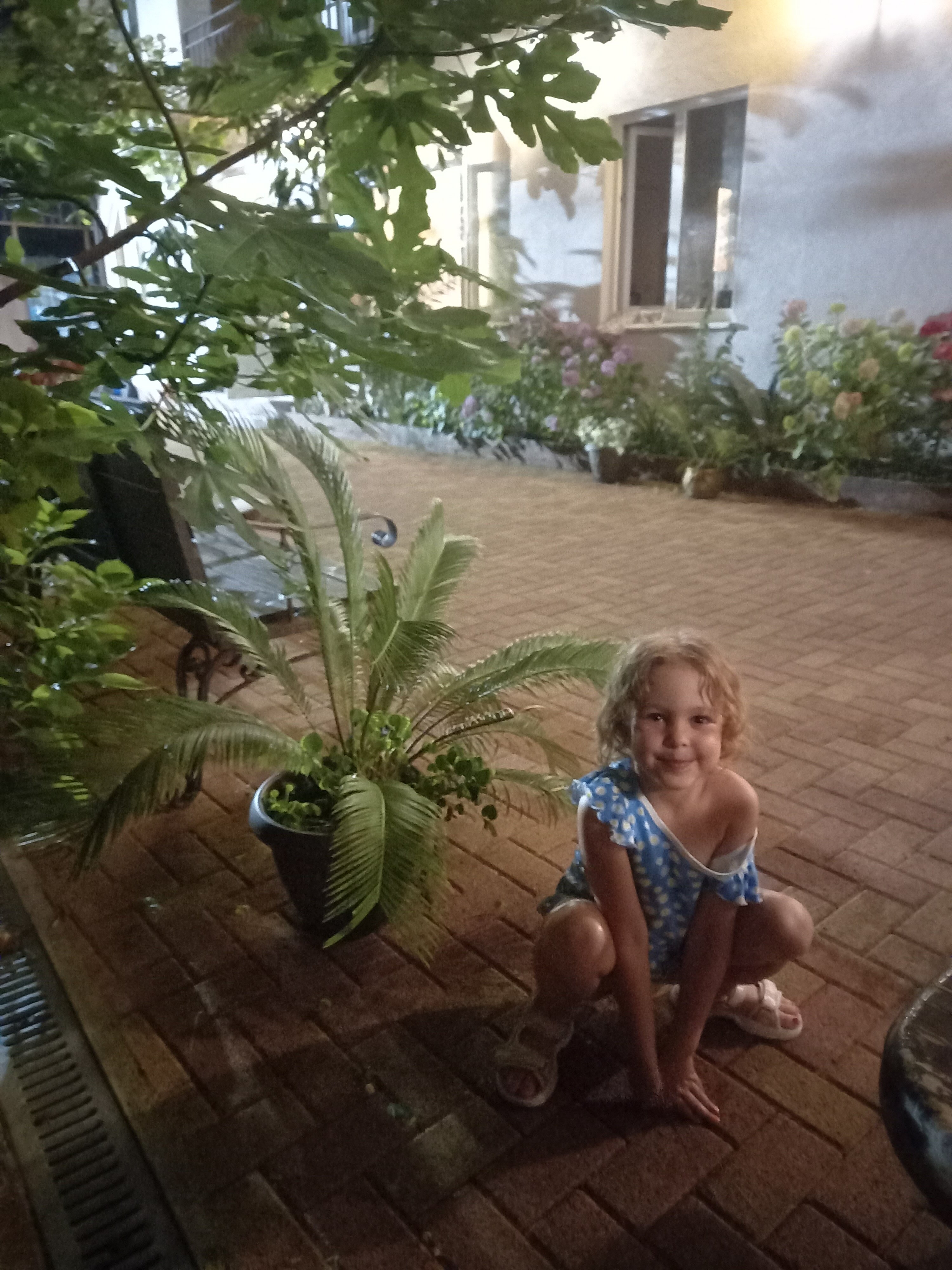 Фото Золотой песок