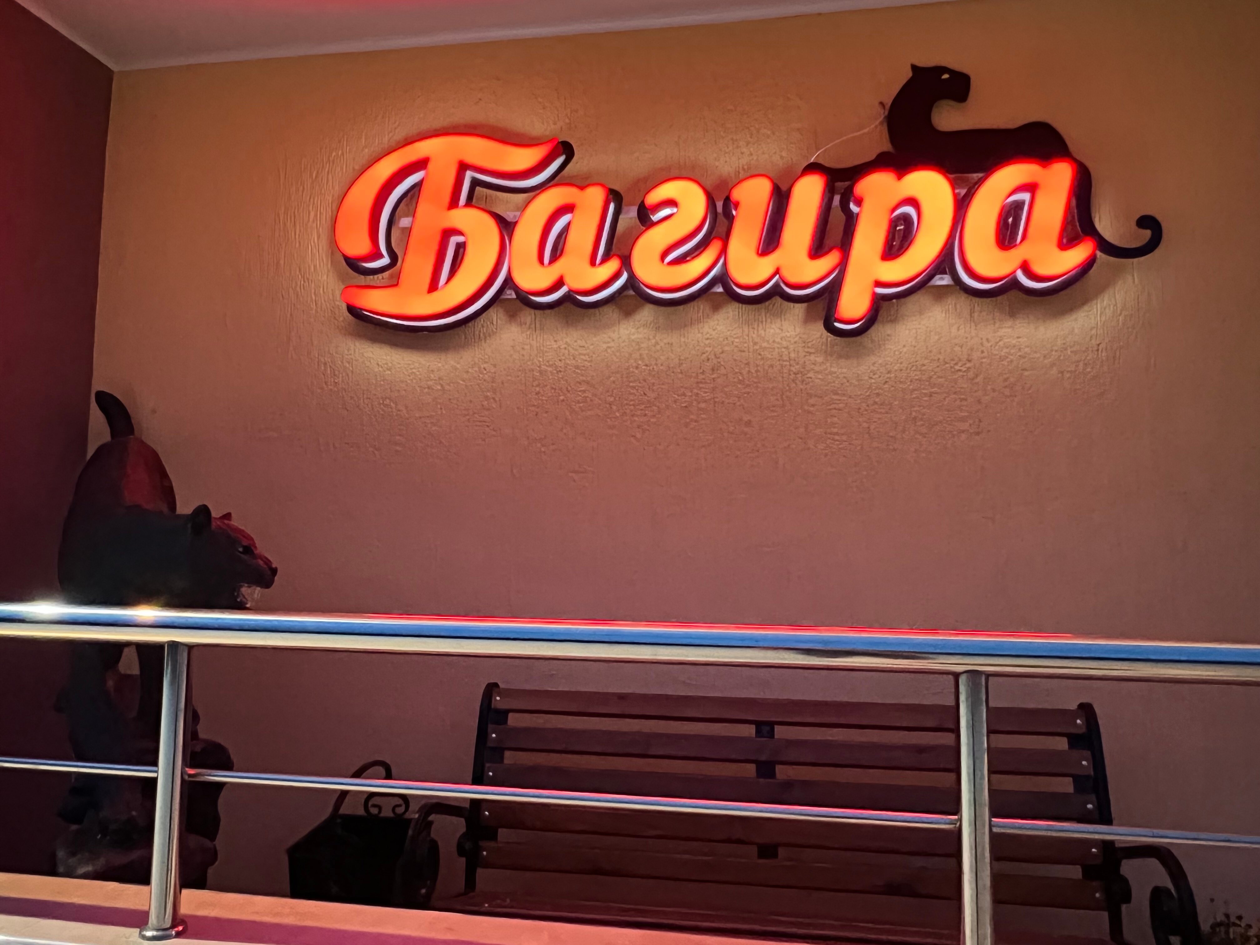 Фото Багира