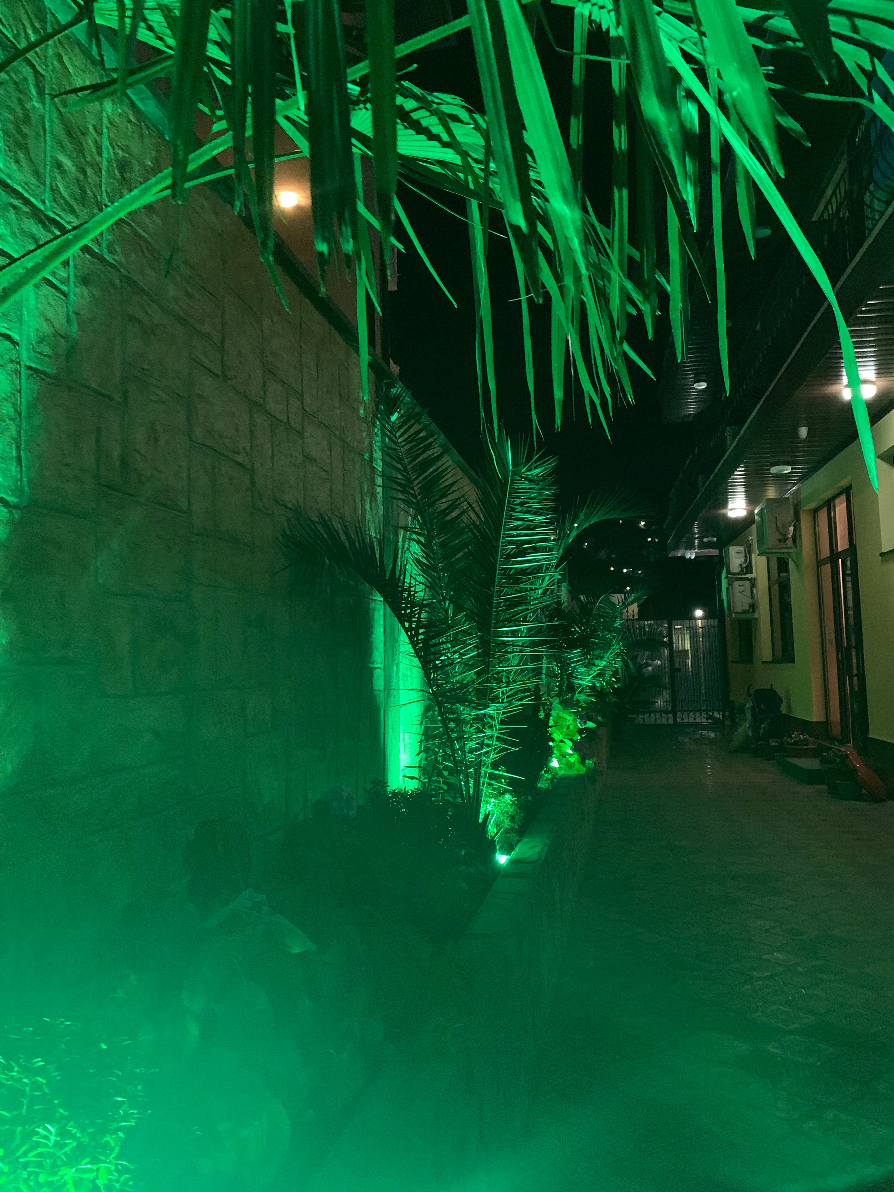 Фото Laza Plaza