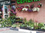 Tsvety (Dzerzhinskogo Street, 22В), flower shop