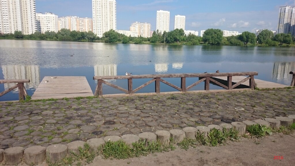 Beach South Butovo, Moscow, photo