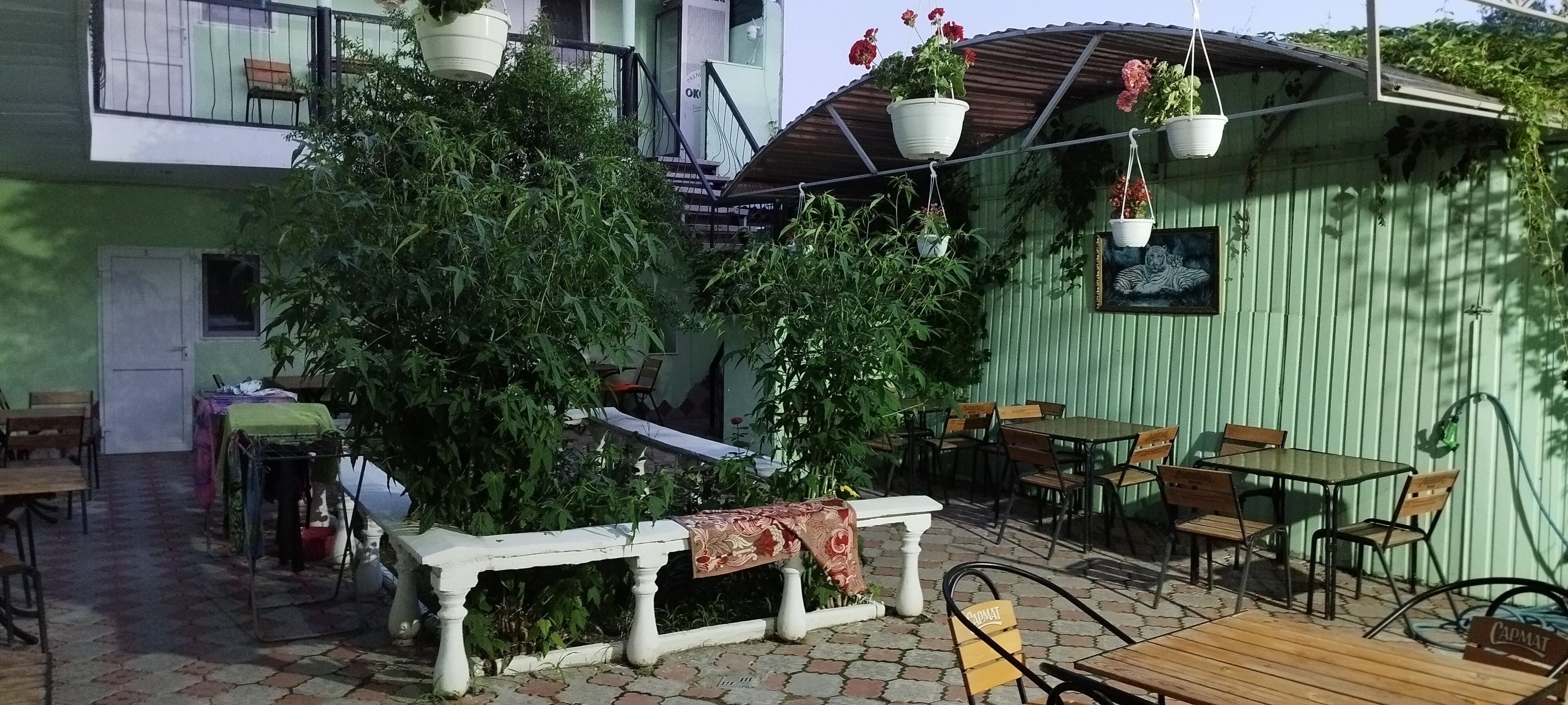 Фото Сильвия