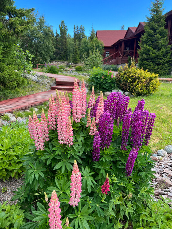 Фото Соловки Отель