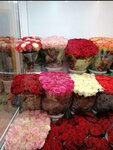 Flowers Baltay (selo Baltay, ulitsa Lenina, 55А), flower shop