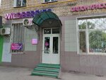Домино (Восточная ул., 2, корп. 1), салон красоты в Москве