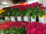 City flowers (ulitsa Astana Kesayeva, 2А) ، محل زهور