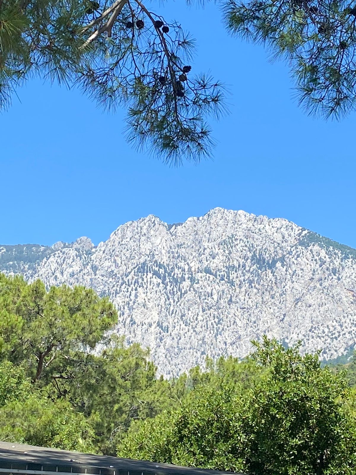 Фото Kimeros Park Holiday Village