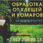Master Dez (Village of Kuyuki, ulitsa Soglasiya, 44) ، التطهير وإزالة الطفيليات والآفات