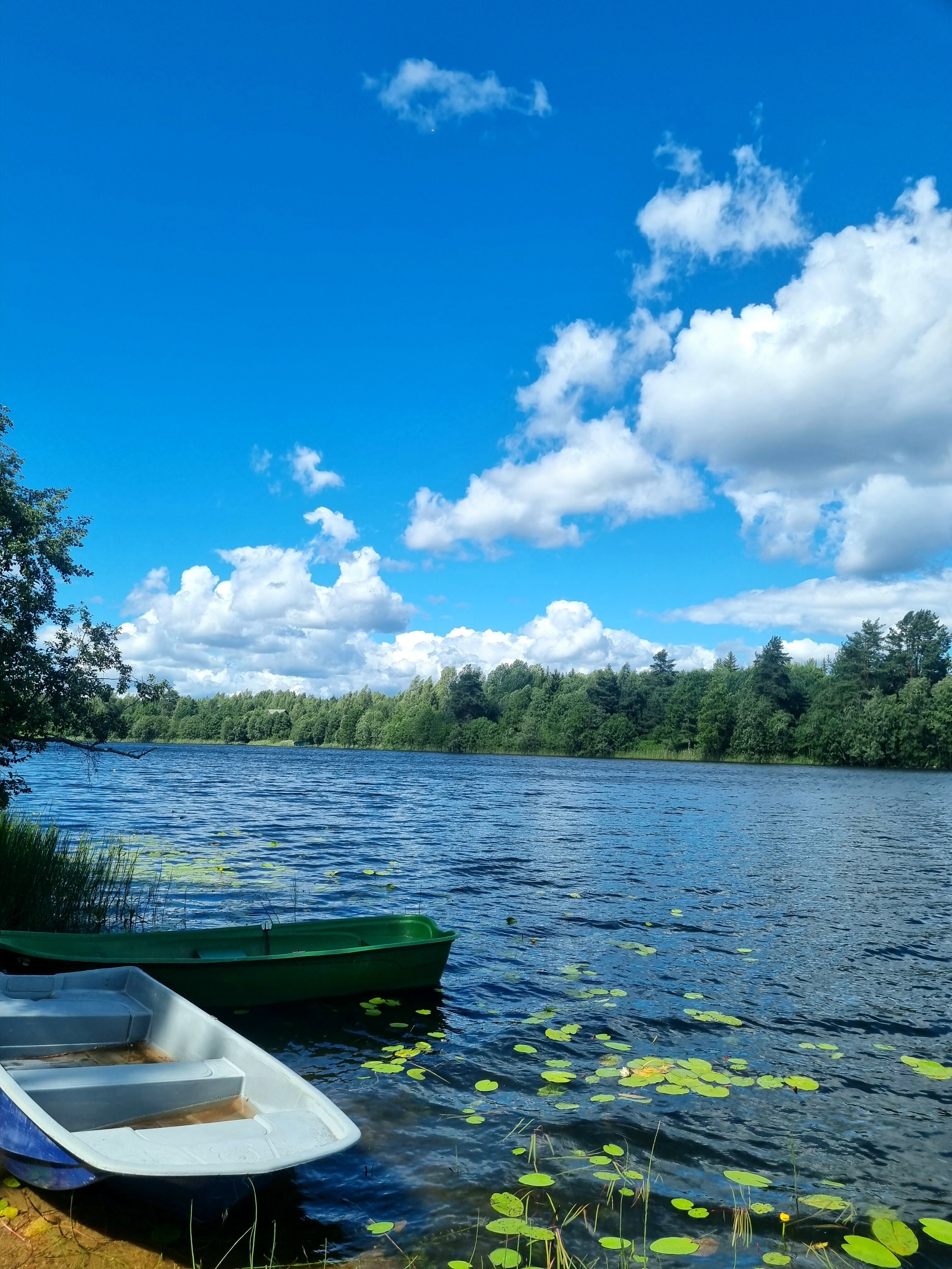 Фото На берегу