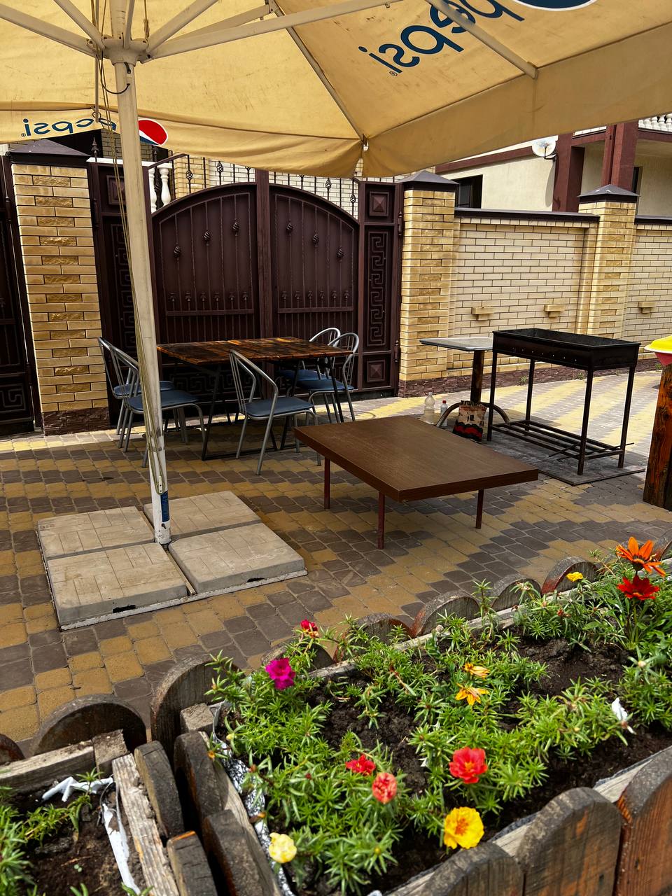 Фото Приветливый