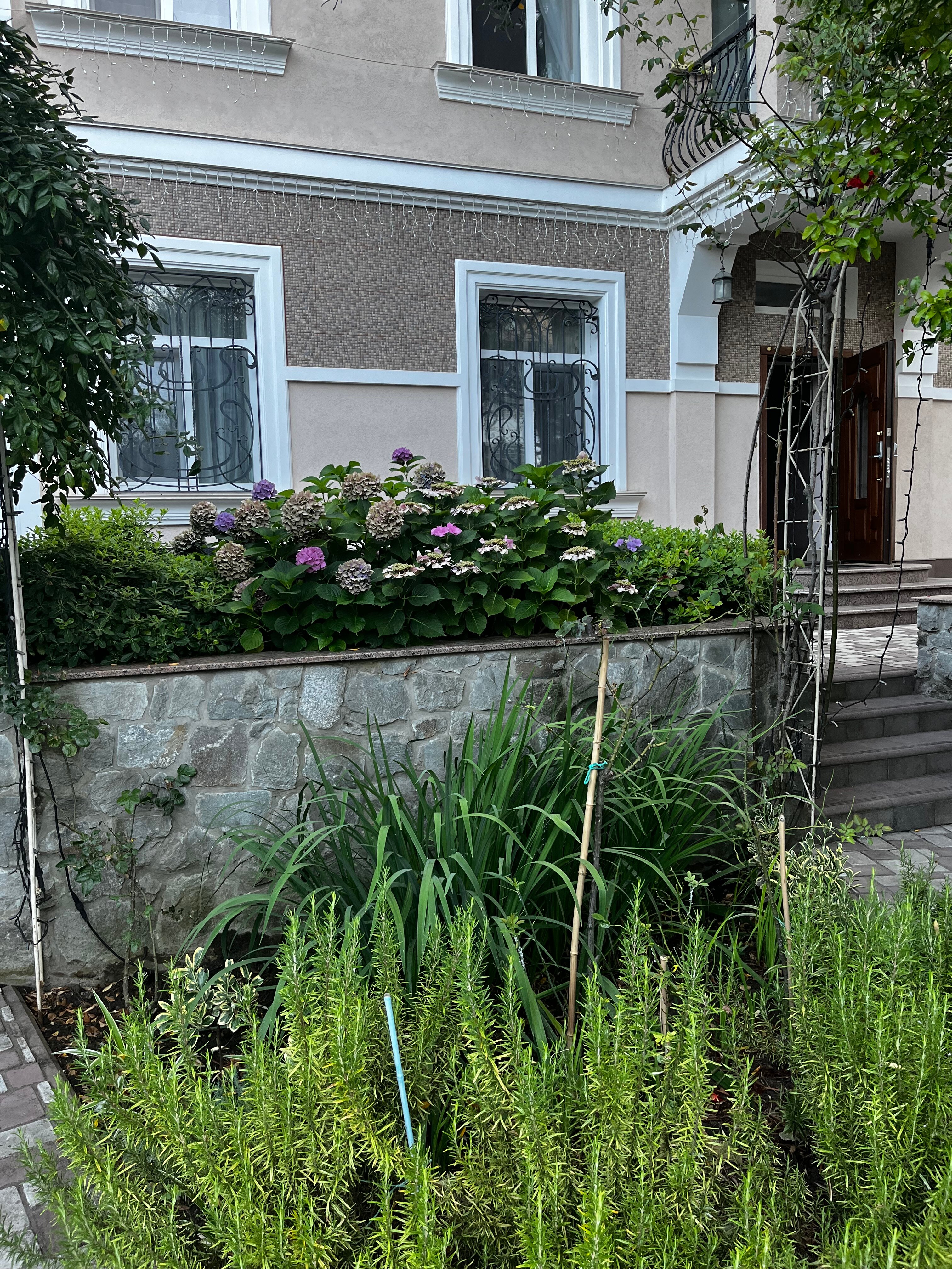 Фото Каштановый особняк