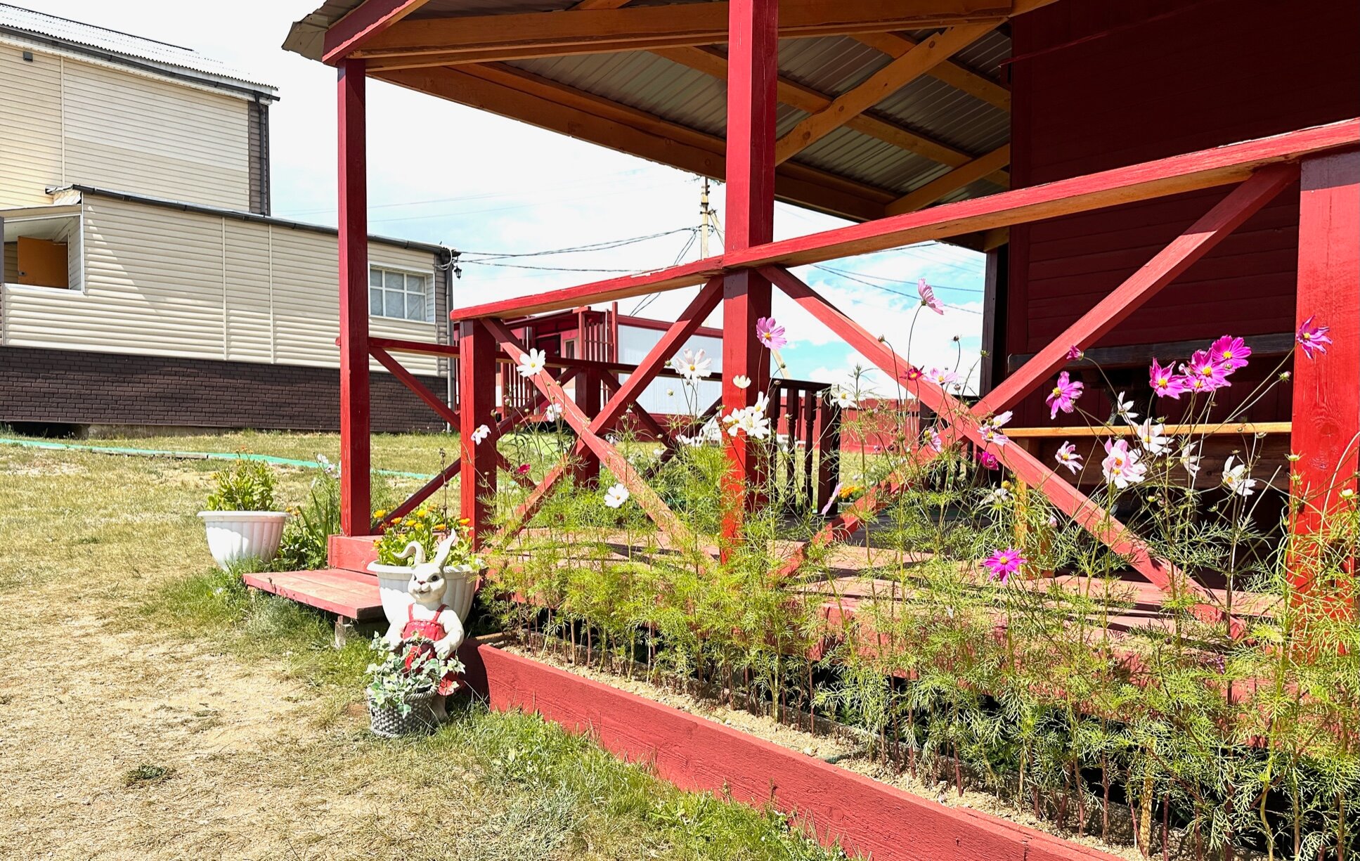 Фото Звезда Байкала