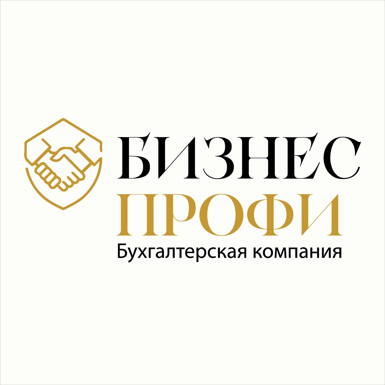 Бизнес Профи 01