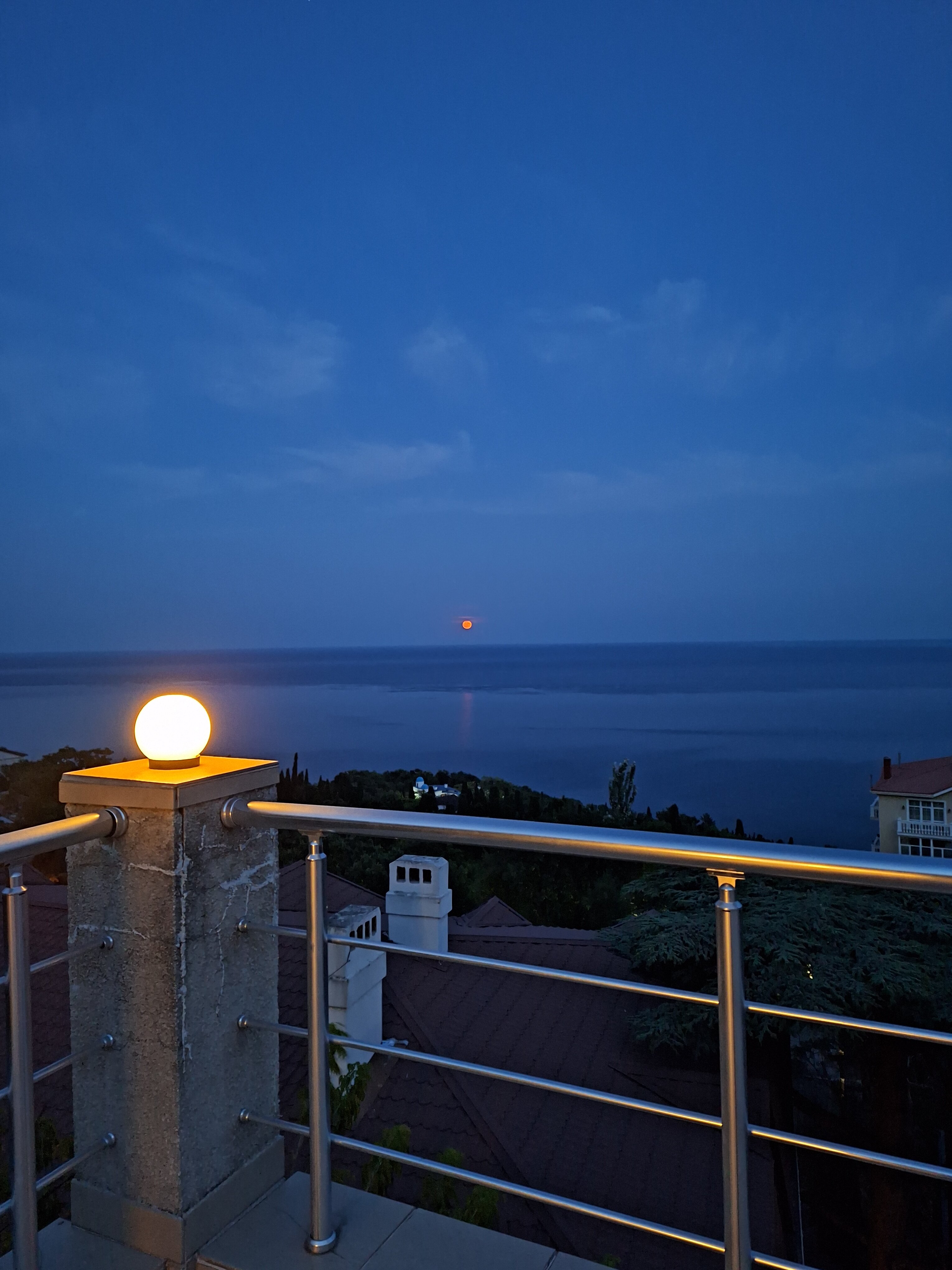 Фото Кедр-Запад