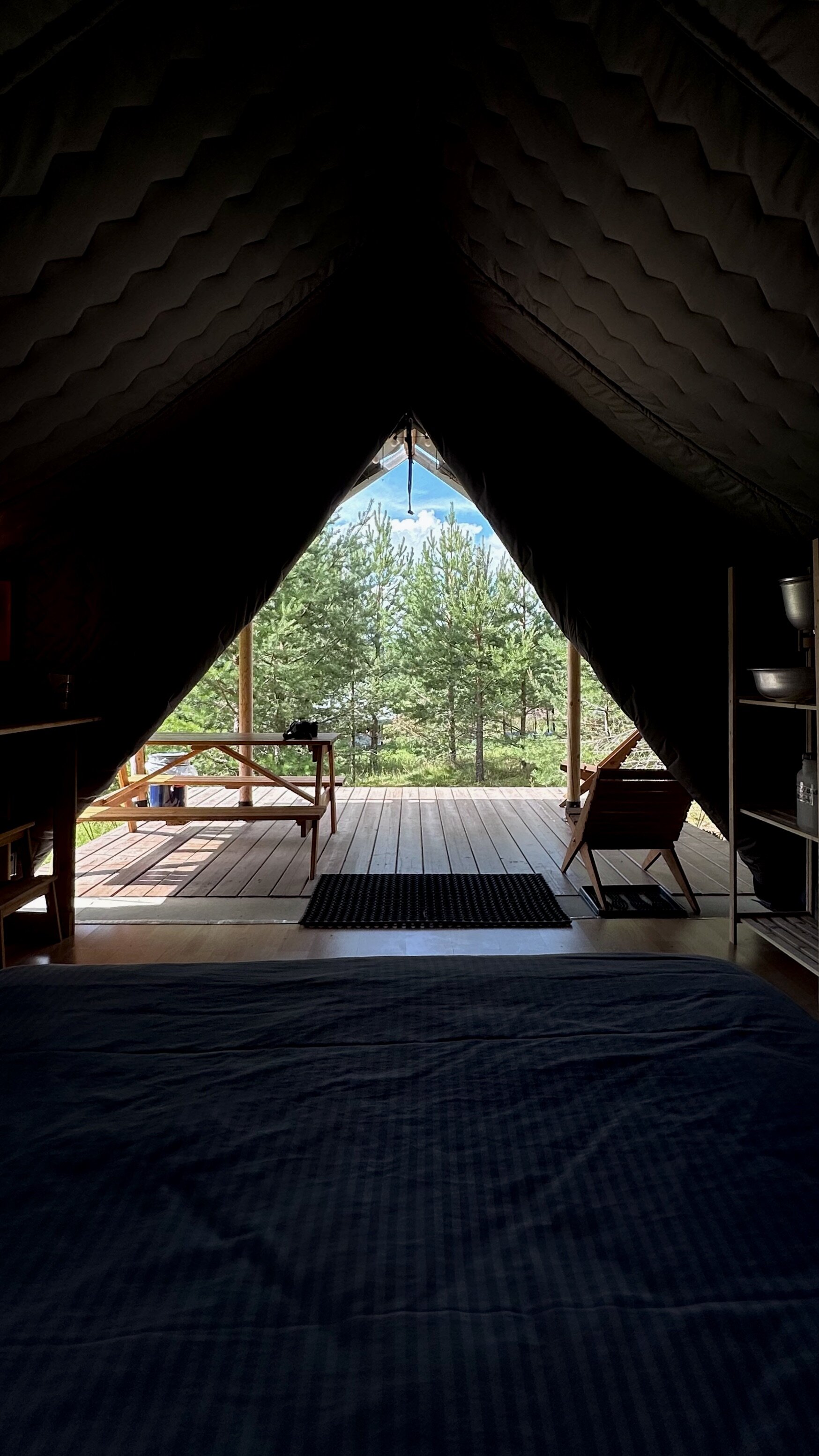 Фото Йети на комете