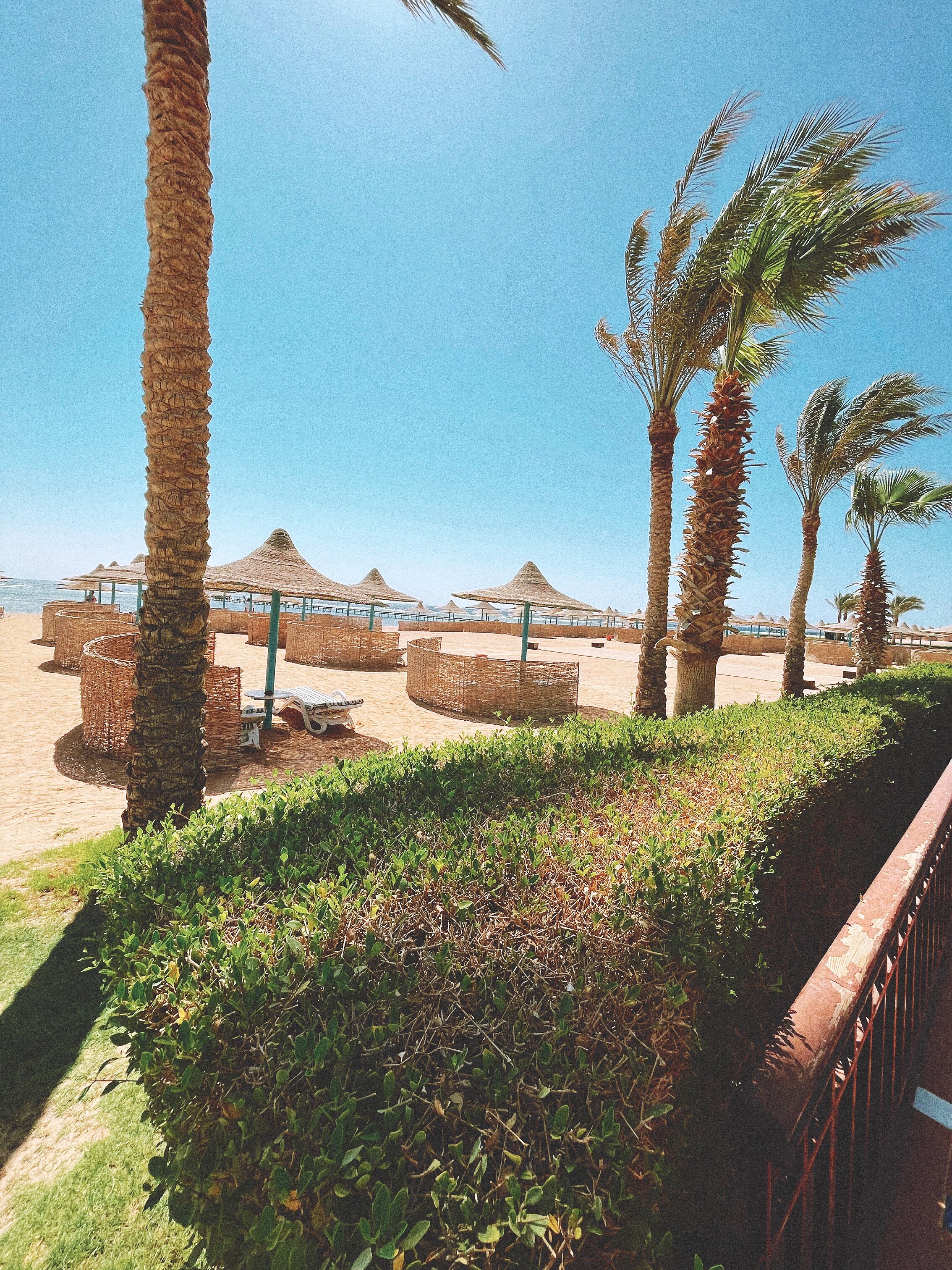 Фото Iberotel Redsina