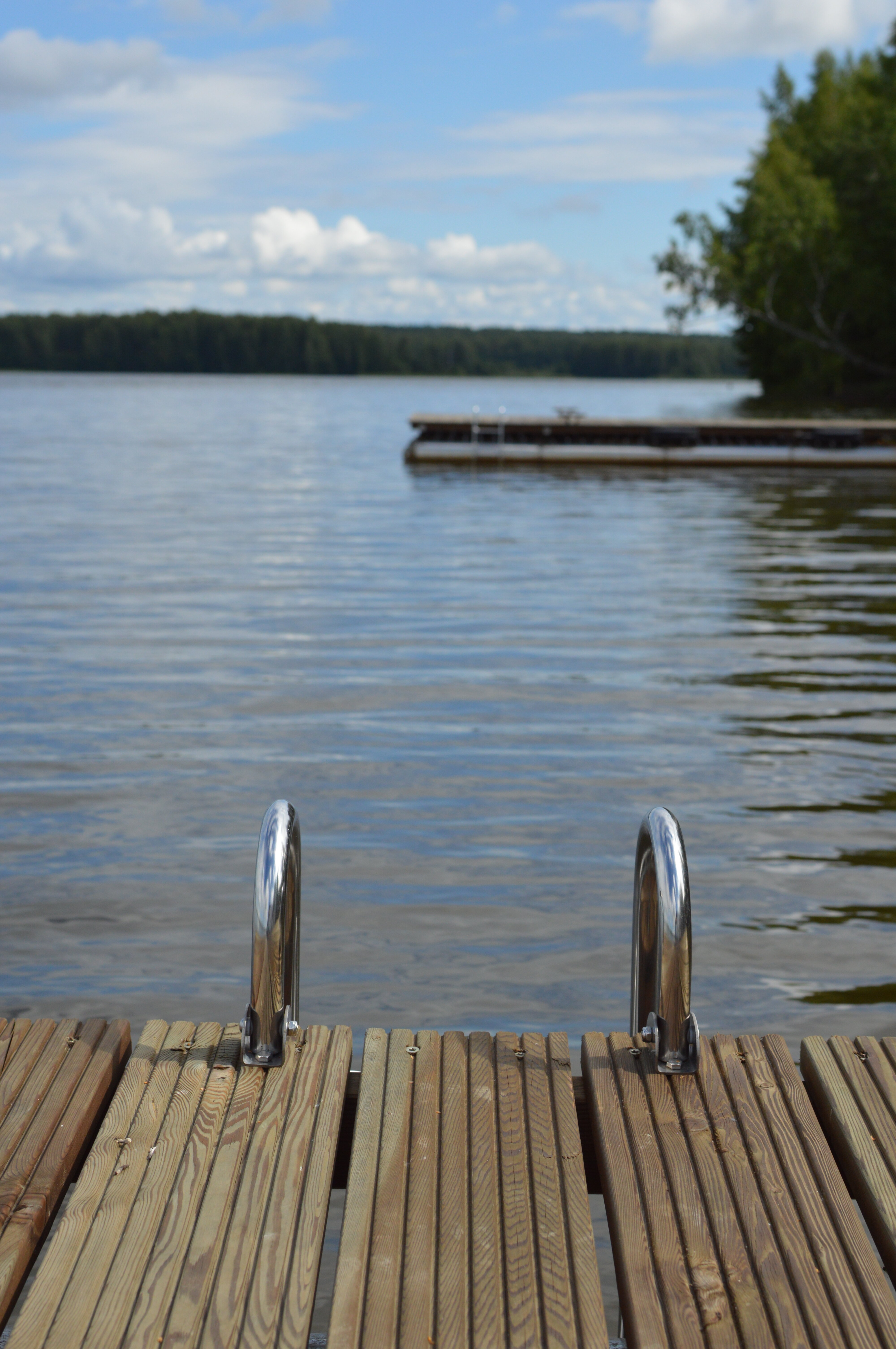 Фото Лунный Кролик