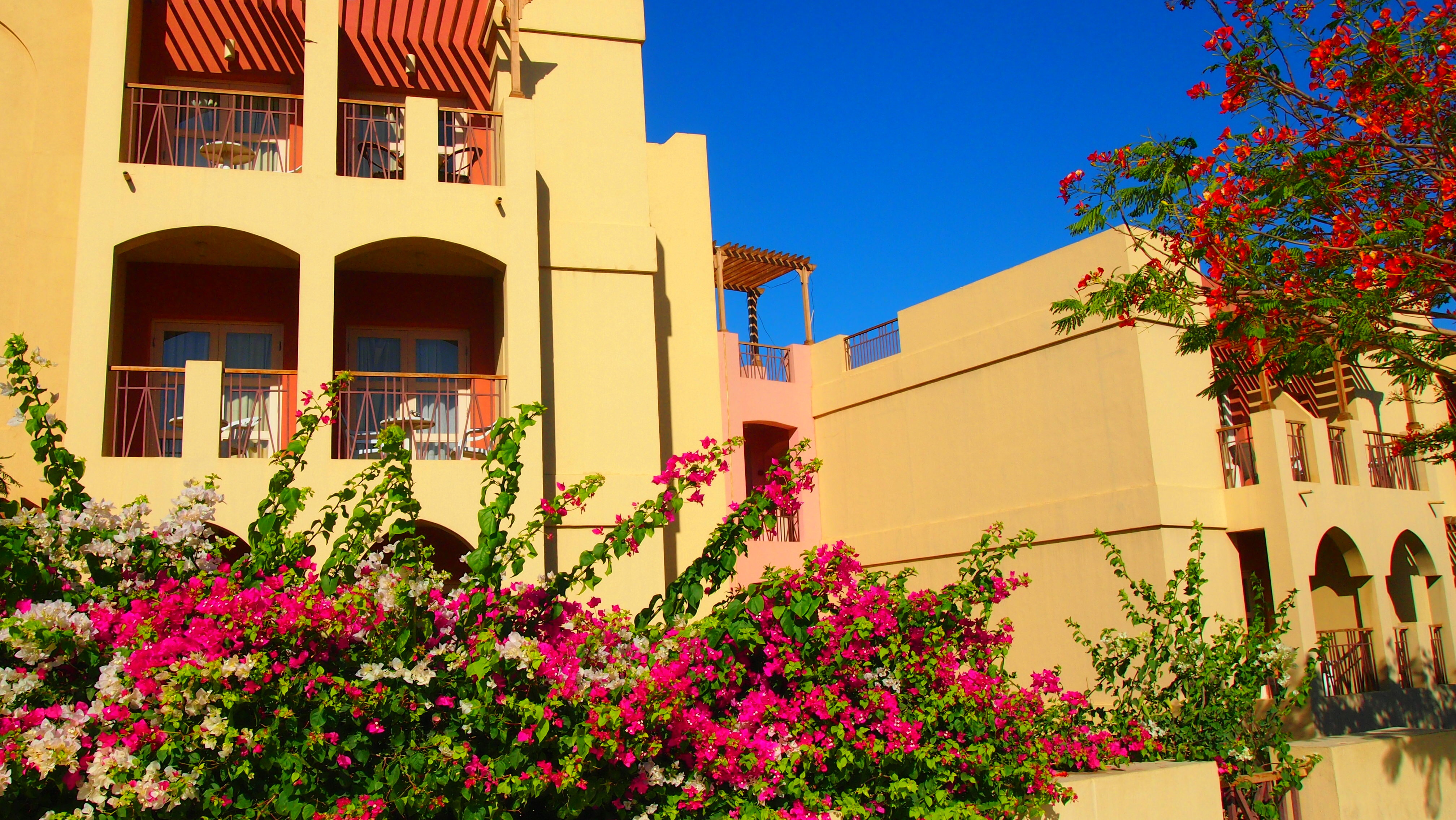 Фото Marina Plaza Tala Bay