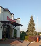 Erzovka (Volgograd Region, Gorodishchenskiy rayon, Vologodskaya ulitsa, 4А), hotel