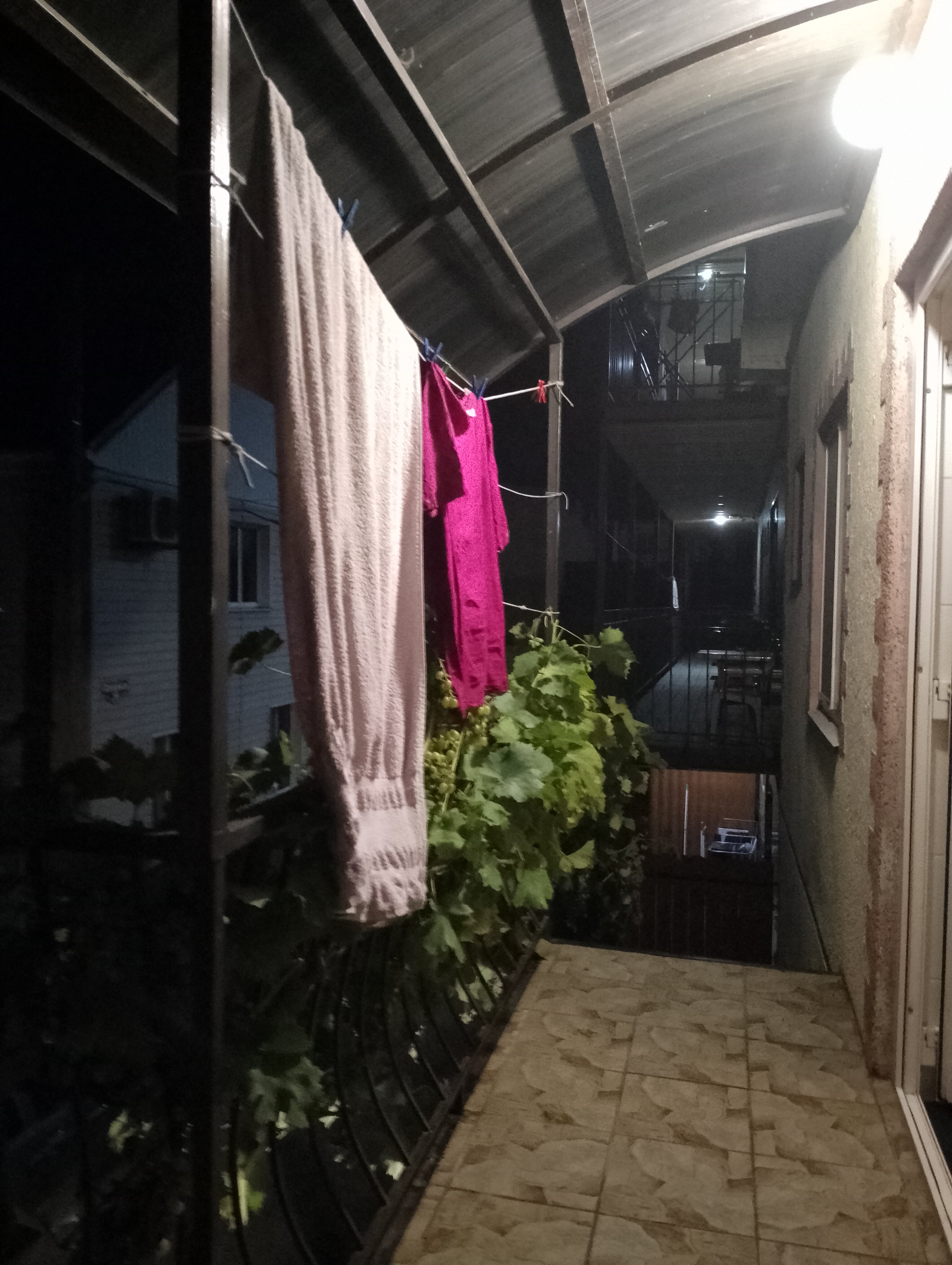 Фото Надежда