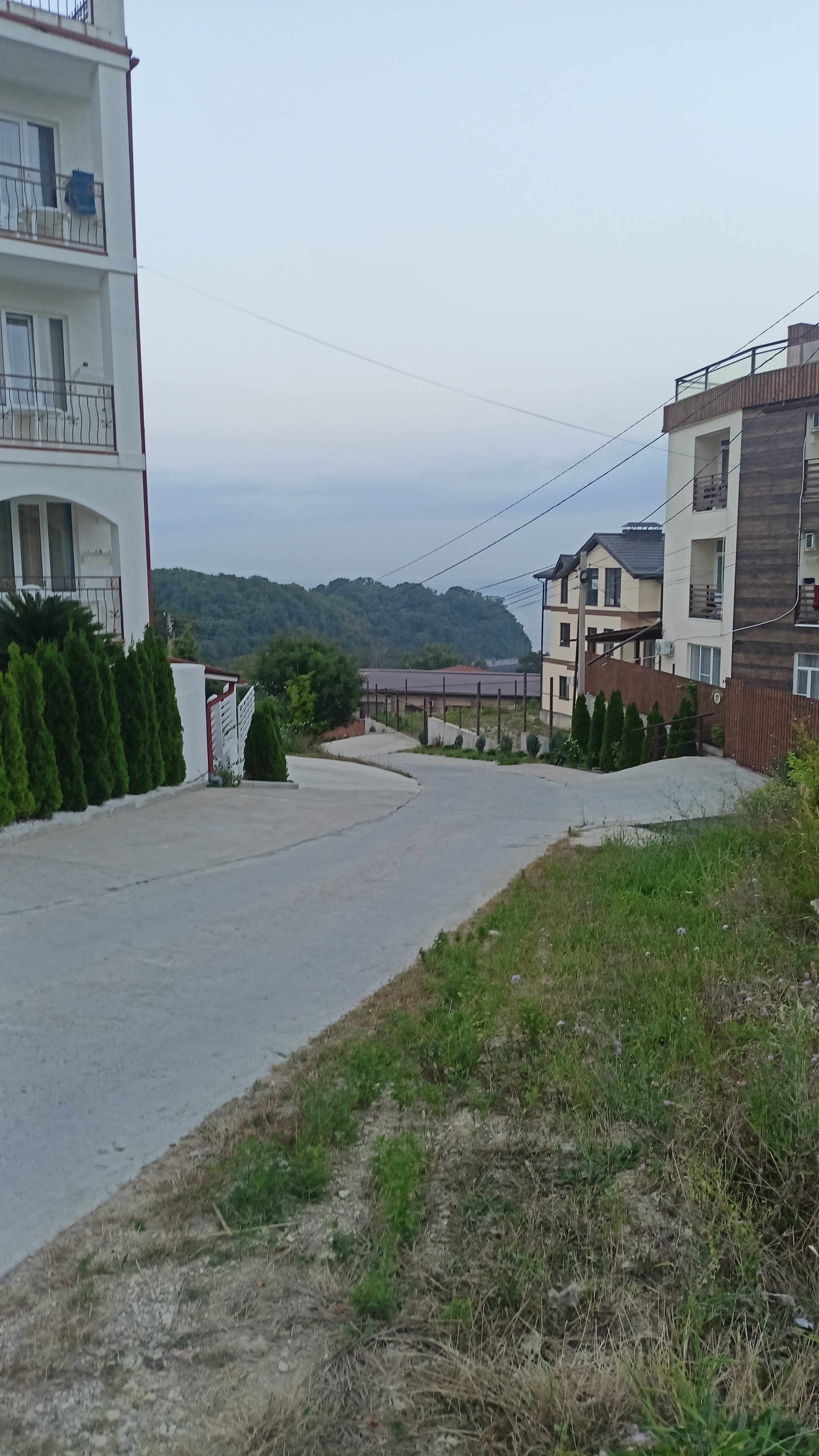 Фото Дельфин