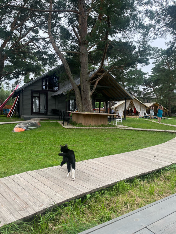 Фото Малина