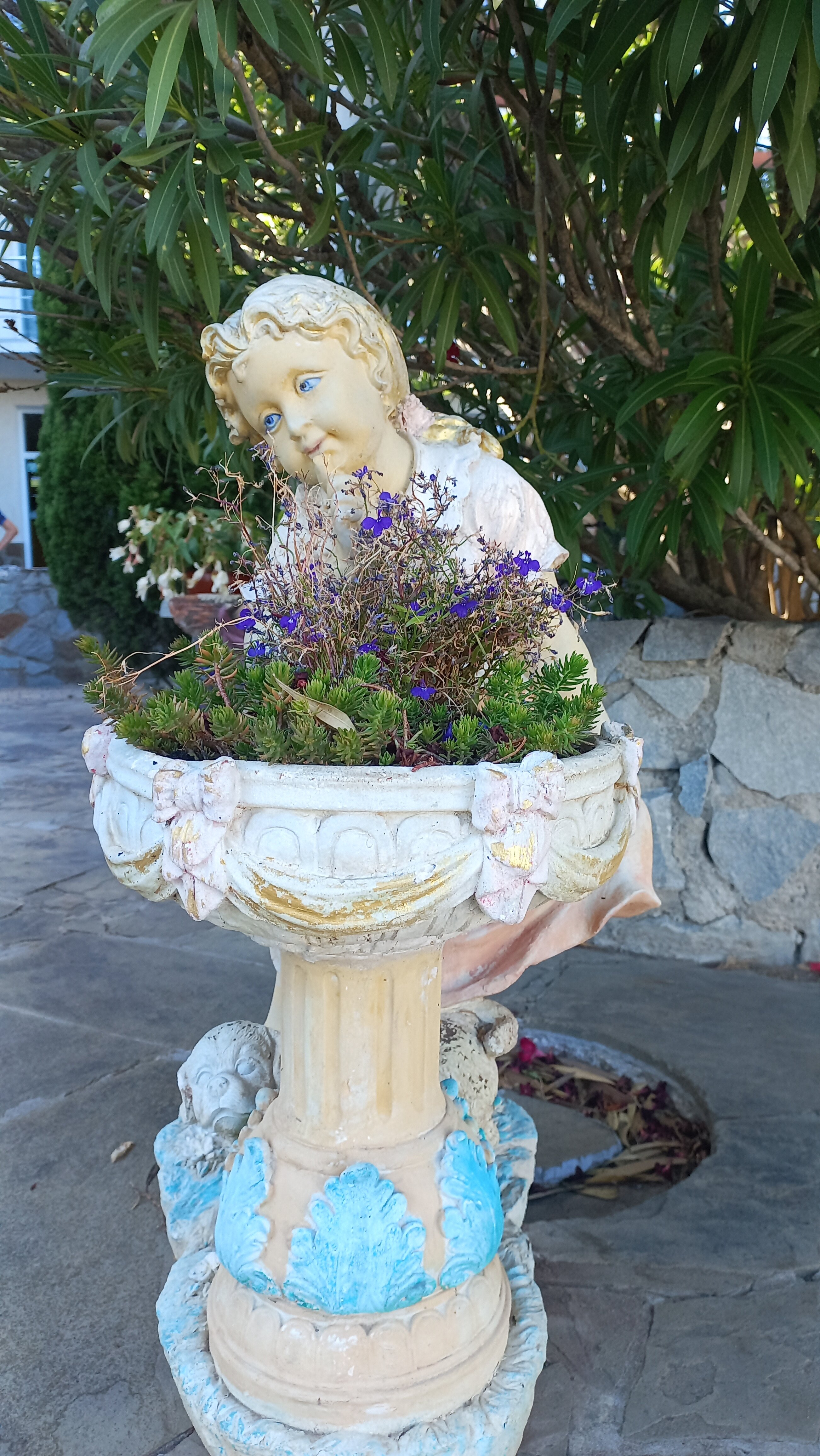 Фото Форест