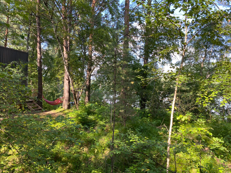 Фото Камышла Парк