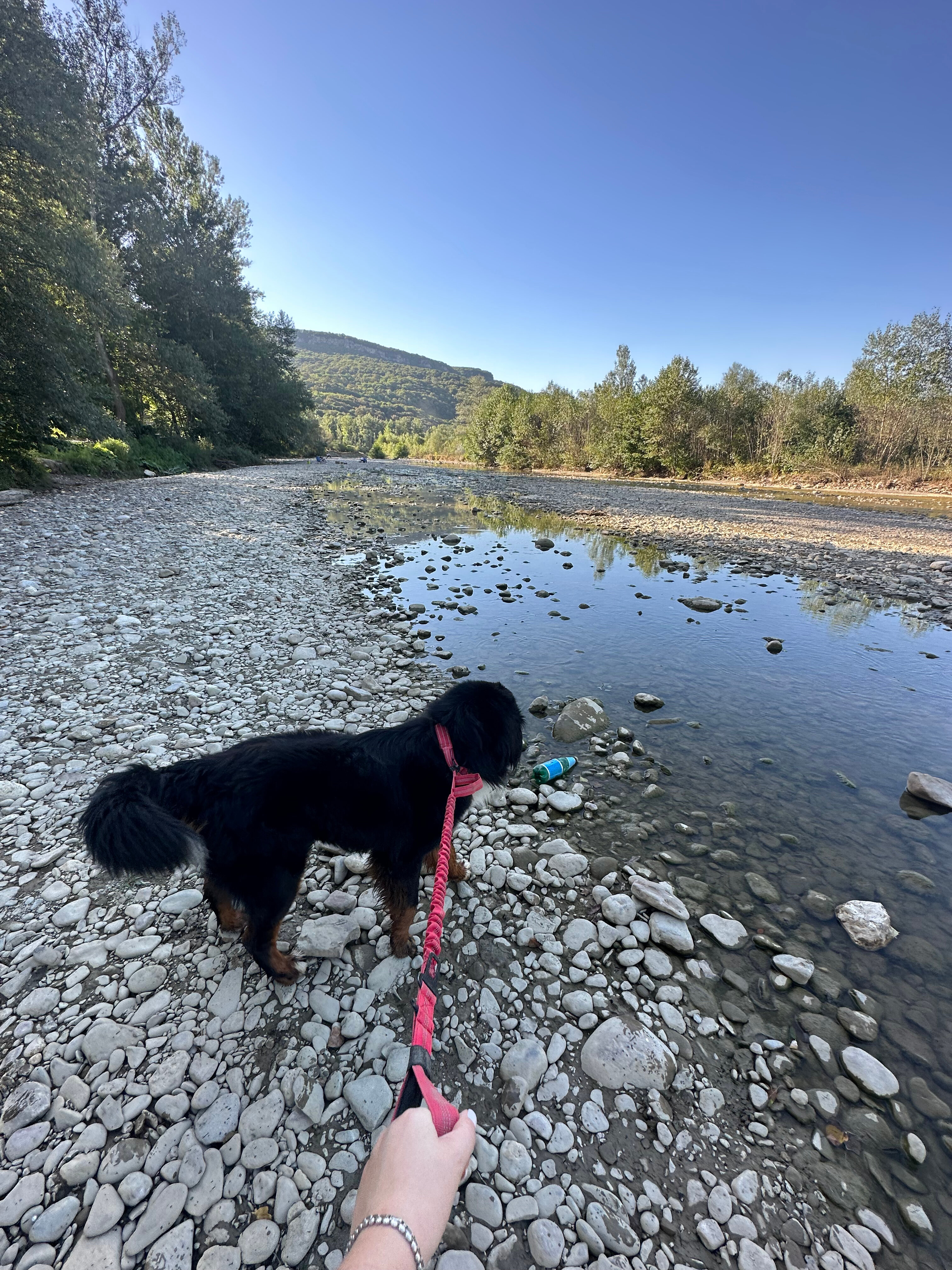 Фото Денница