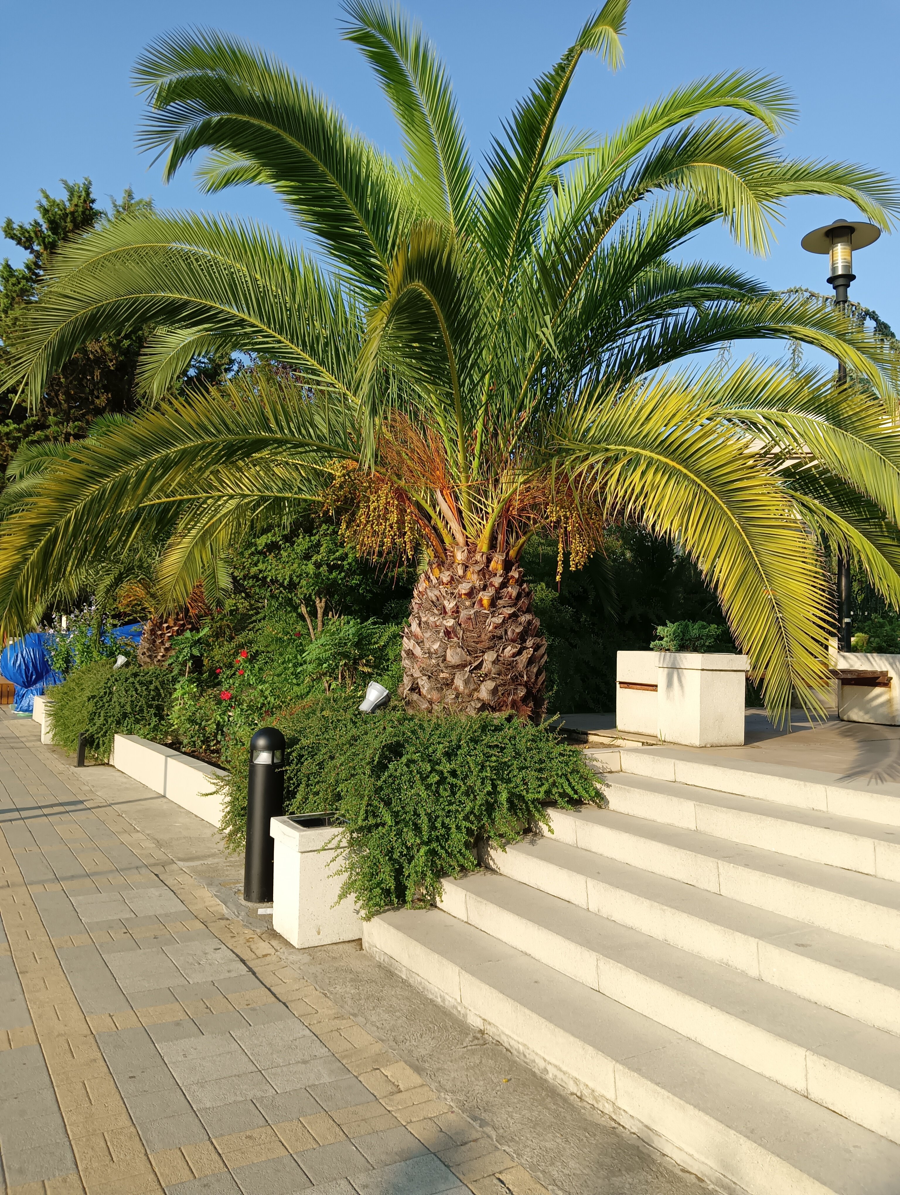 Фото Аквамарин-Парк