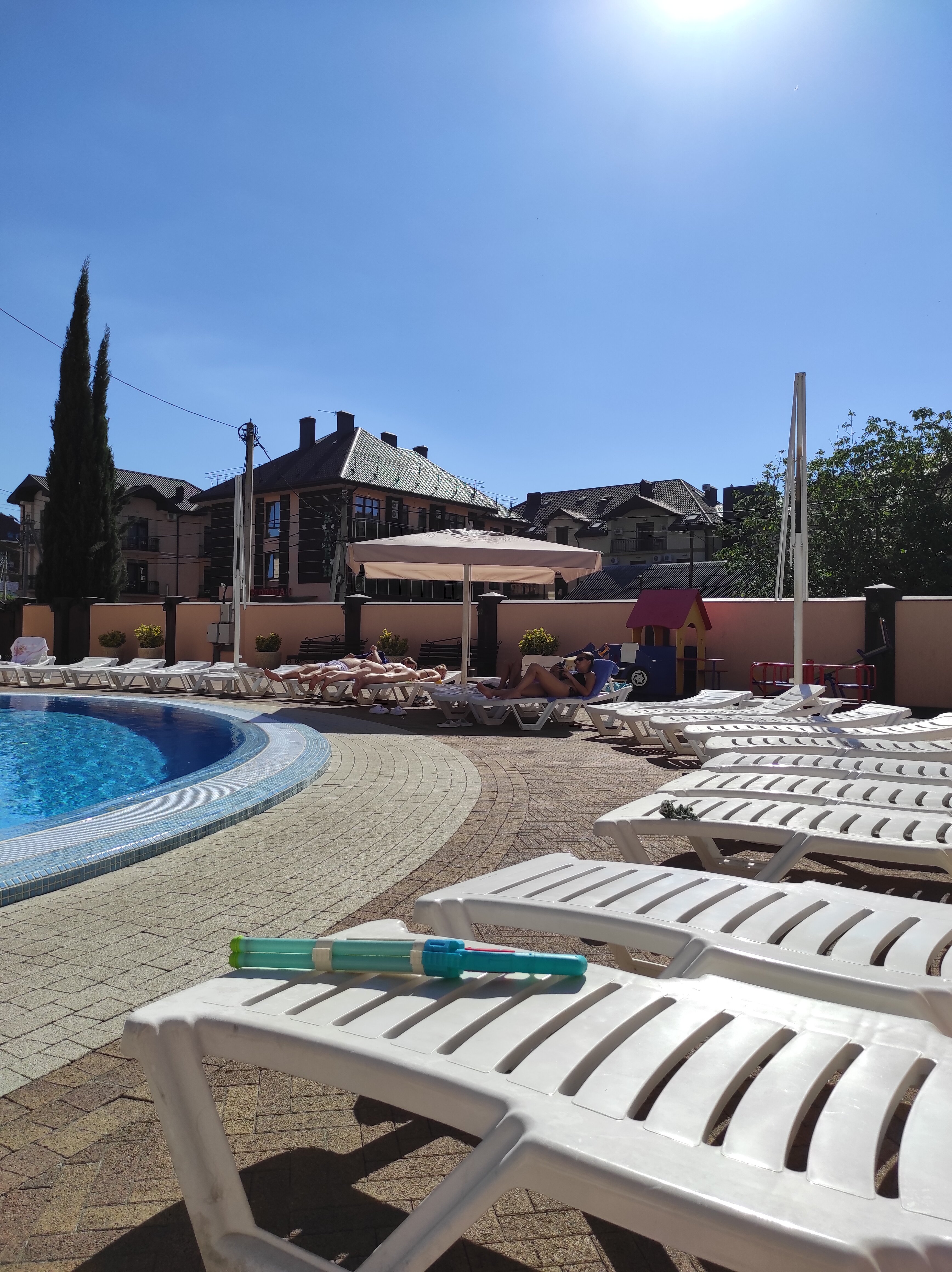 Фото Кипарис